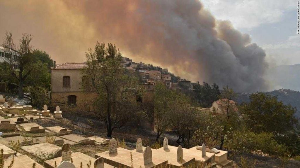 Algeria Forest Fire: At Least 65 Killed In Algerian Wildfires