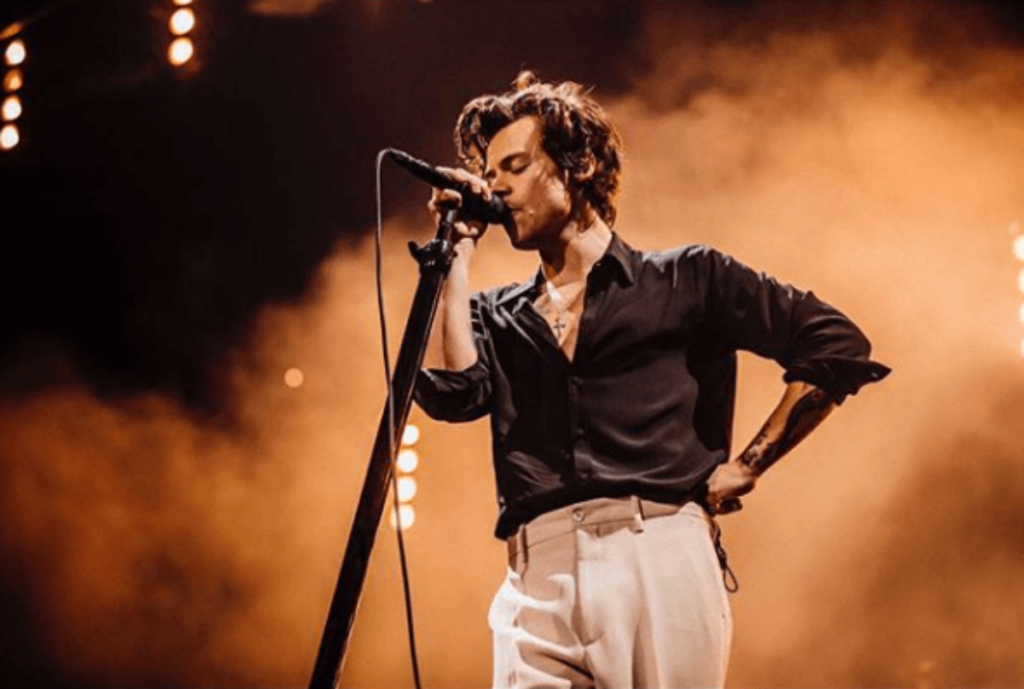 Harry Styles Net Worth 2021: Assets, Wealth & Lifestyle - TGC