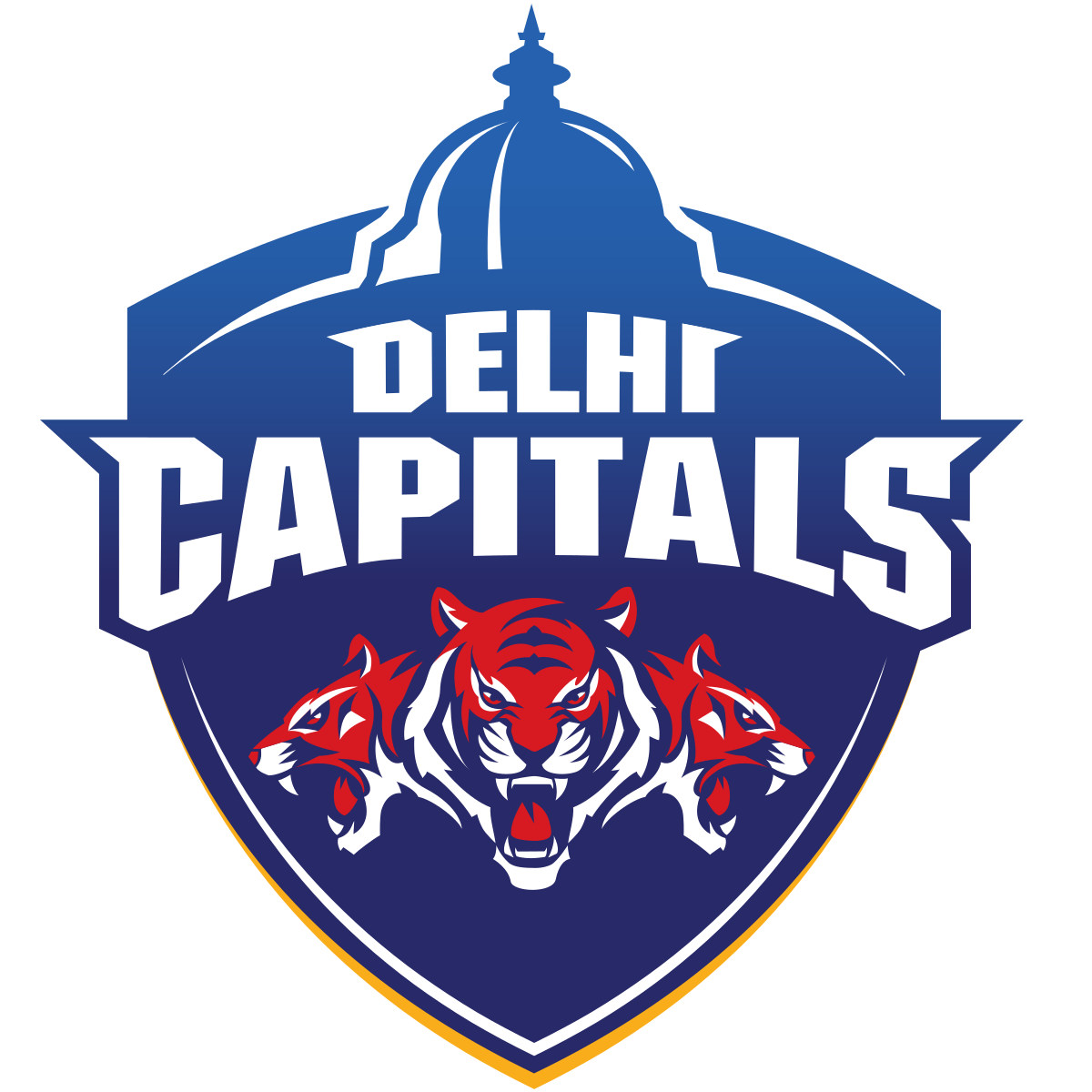 Delhi Capitals Squad For IPL 2021 Before and After Auction