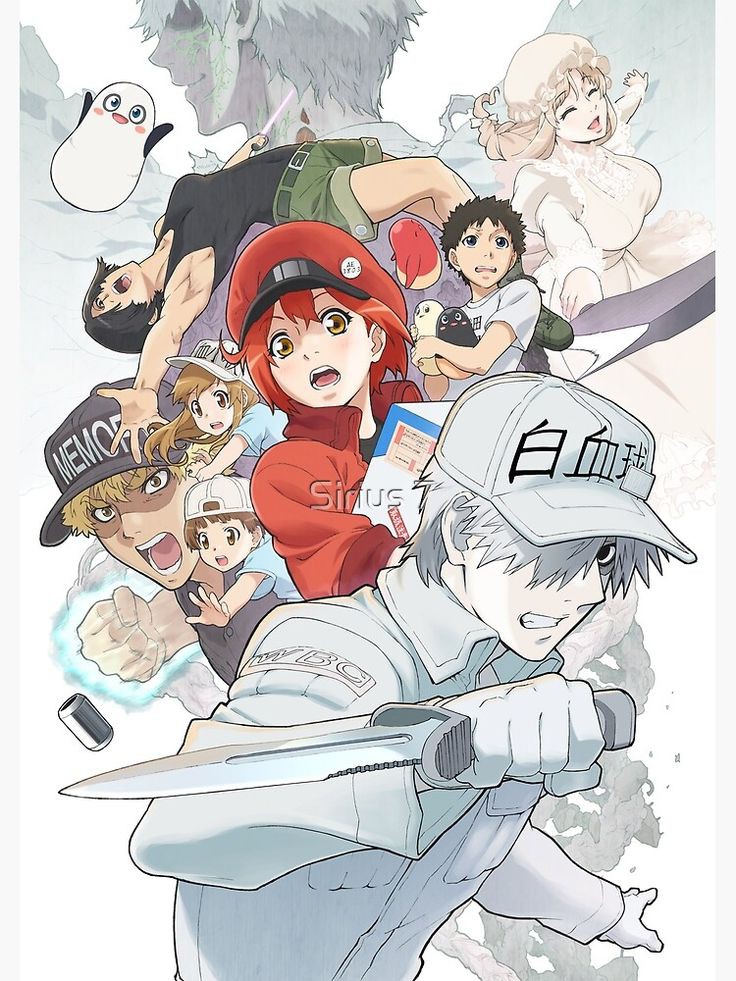 Cells at Work Season 2 Episode 8 Release date, Spoiler, Preview