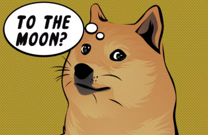 Dogecoin Today 5th February Prediction Doge Pumps 50 Higher After Elon Musk Twitter