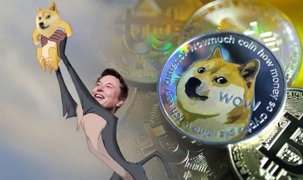 When is Dogecoin going up? Dogecoin upcoming predictions