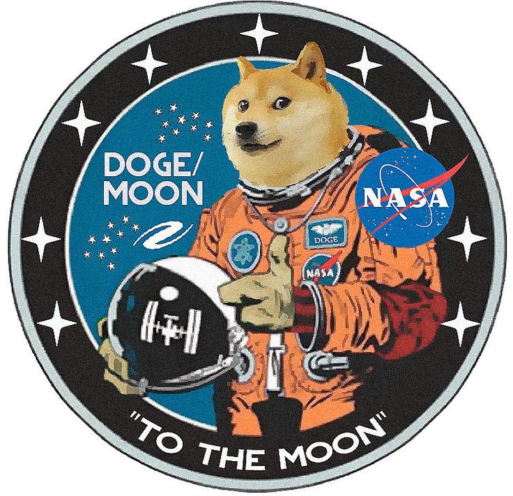 Future of Dogecoin? Safe or Risky Investment, Dogecoin Going To The Moon? 2021