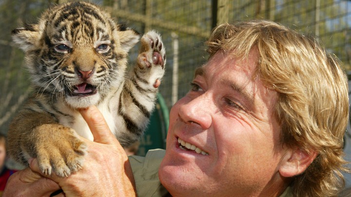 Who is steve irwin? How did he died? His children and More