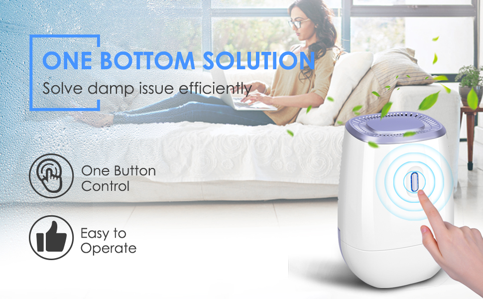 Best Dehumidifier To Buy From Amazon In 2021( Top 10)
