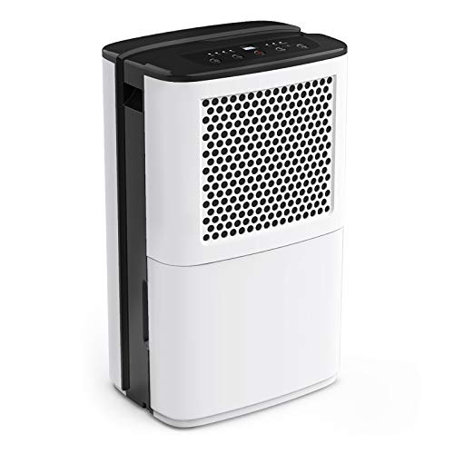 Best Dehumidifier