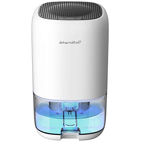 Best Dehumidifier