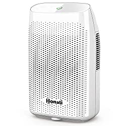 Best Dehumidifier