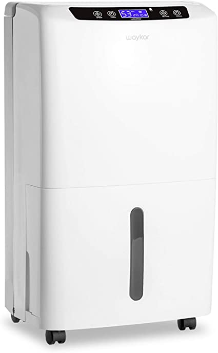 Best Dehumidifier