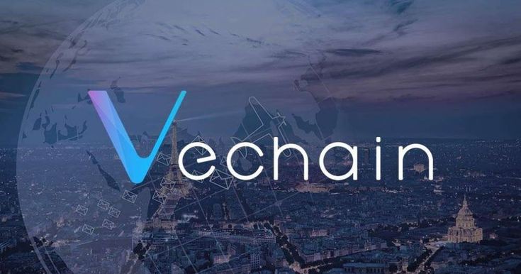 Why is VeChain Dropping now? What is the Future of VET 