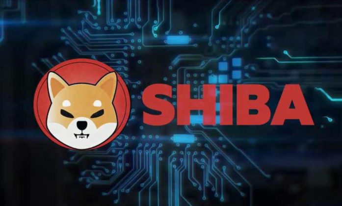 is shiba coin a good investment