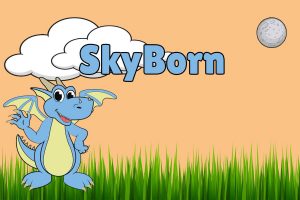  Skyborn Crypto