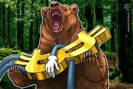 Will Bear coin reach $1