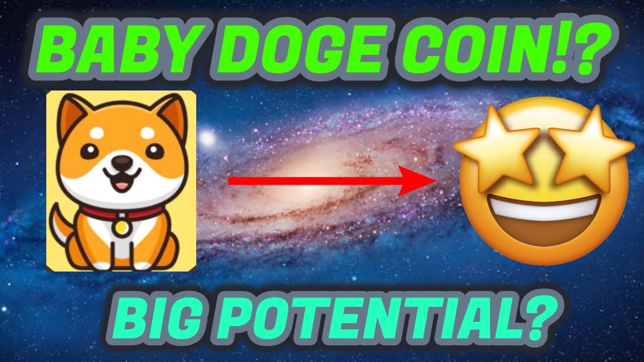 Will Baby DogeCoin Reach $1 After Elon Musk Tweet? Baby Doge Price Prediction