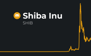 Will Shiba Inu Reach $1? How Much Time Shiba Inu Coin will take to reach 1 cent?