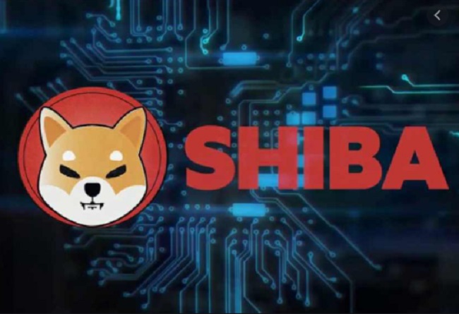 Shiba Inu Hits All Time High Again Despite Failed Robinhood Listing