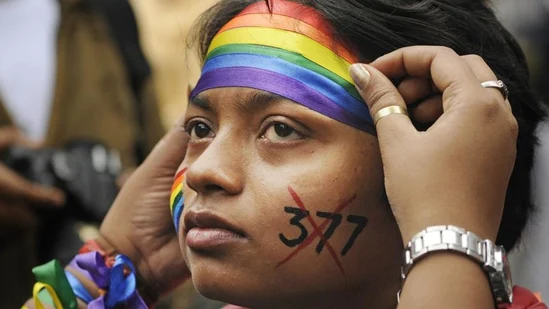 Gay Marriage In India, Final Court Hearing On November 30