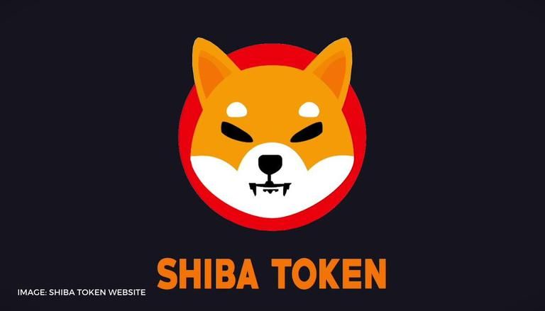 How to Buy Shiba Inu coins in India- Ultimate Guide