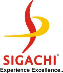 Sigachi Industries: Pros and Cons of the IPO