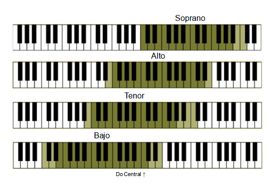 The basic vocal ranges